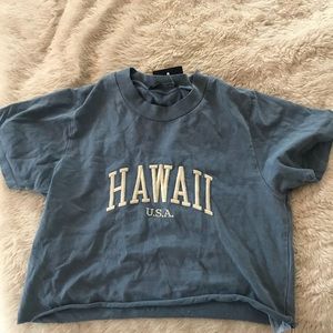 Brandy Melville Never Worn Blue Hawaii Top